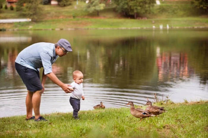 5 BÍ QUYẾT DẠY BÉ CON VẬT BẰNG TIẾNG ANH HIỆU QUẢ NGAY TẠI NHÀ