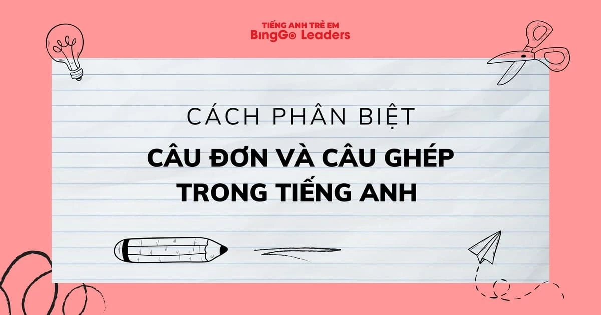 CÂU ĐƠN VÀ CÂU GHÉP TRONG TIẾNG ANH - PHÂN LOẠI VÀ CÁCH SỬ DỤNG