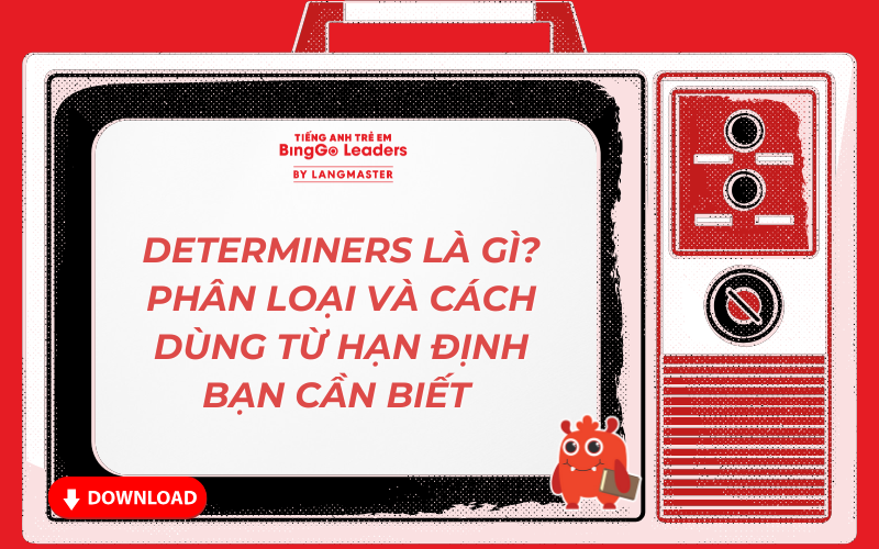 DETERMINERS LÀ GÌ? PHÂN LOẠI VÀ CÁCH DÙNG TỪ HẠN ĐỊNH BẠN CẦN BIẾT 