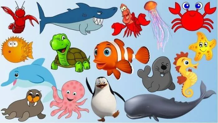 Bé học tiếng Anh qua con vật sống dưới nước