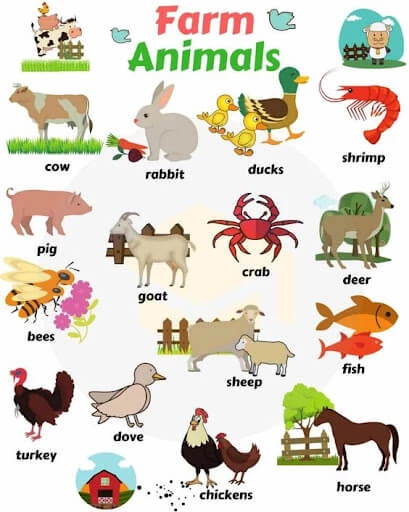 Các con vật nuôi quen thuộc bằng tiếng Anh