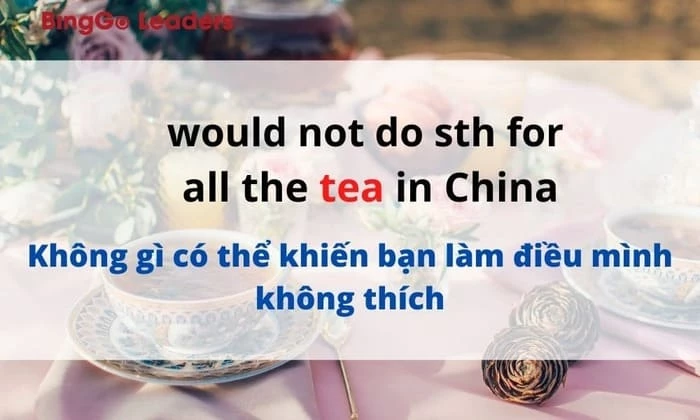 Thành ngữ “not for all the tea in China”