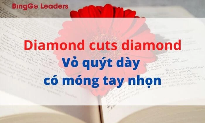Thành ngữ “Diamond cuts diamond”