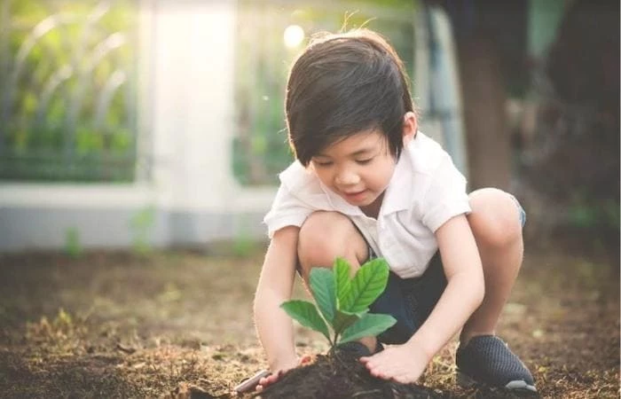 Hãy dạy con cách trồng và chăm sóc cây