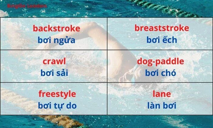 Từ vựng về môn bơi lội trong tiếng Anh