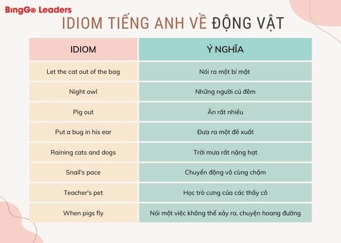 Các idiom tiếng Anh chỉ động vật (Phần 2)