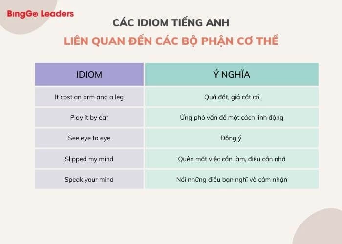 Những idiom thông dụng liên quan đến các bộ phận cơ thể trong tiếng Anh (Phần 2)