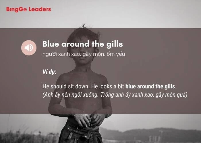 Nghĩa của cụm từ Blue around the gills chỉ người xanh xao, ốm yếu