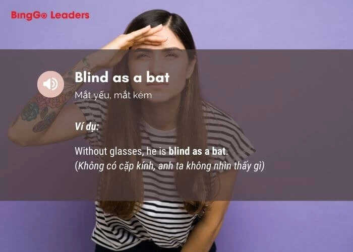 Nói về tình trạng bệnh mắt kém dùng cụm từ Blind as a bat