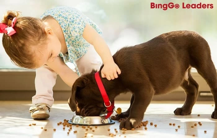 Chăm sóc một chú cún sẽ dạy bé cách yêu thương động vật