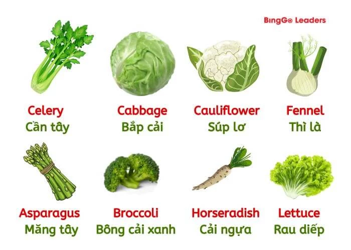 Cách gọi tên các loại rau trong tiếng Anh (Phần 1)