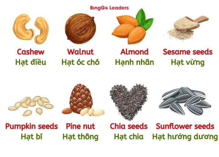 Tên 14 loại đậu, hạt quen thuộc trong tiếng Anh (Phần 1)
