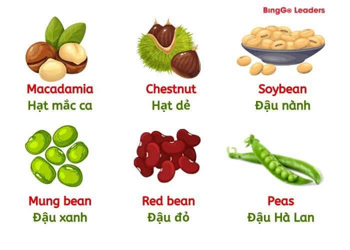 Tên 14 loại đậu, hạt quen thuộc trong tiếng Anh (Phần 2)