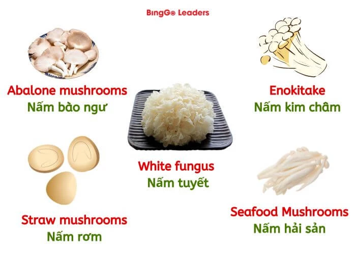Từ vựng tiếng Anh về 10 loại nấm (phần 2)