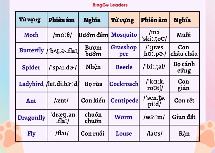 Danh sách các loài côn trùng quen thuộc bằng tiếng Anh
