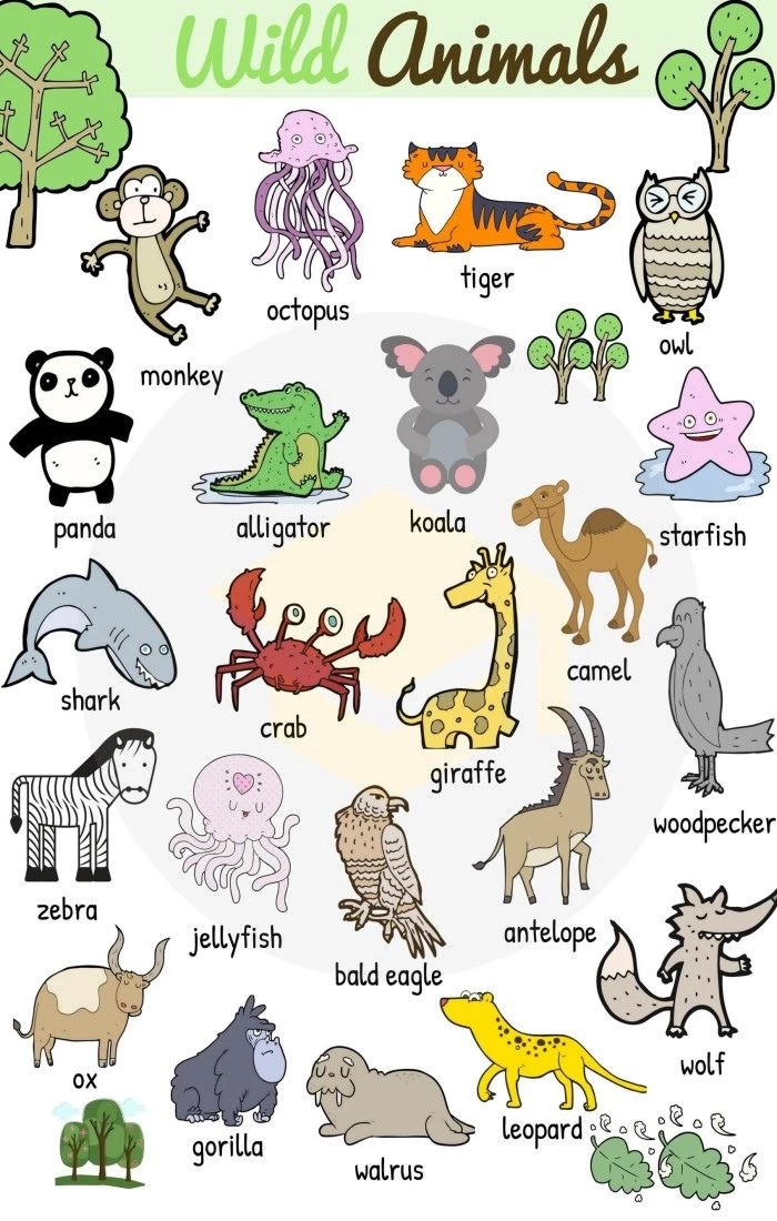 Tên các loài động vật hoang dã bằng tiếng Anh