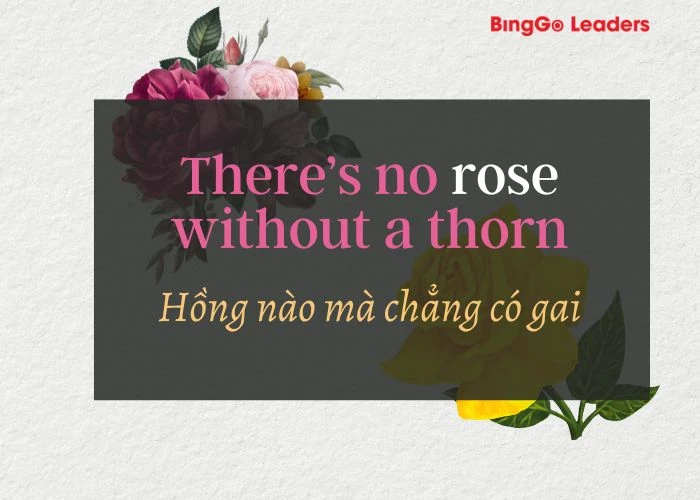 Thành ngữ tiếng Anh có đề cập đến loài hoa hồng
