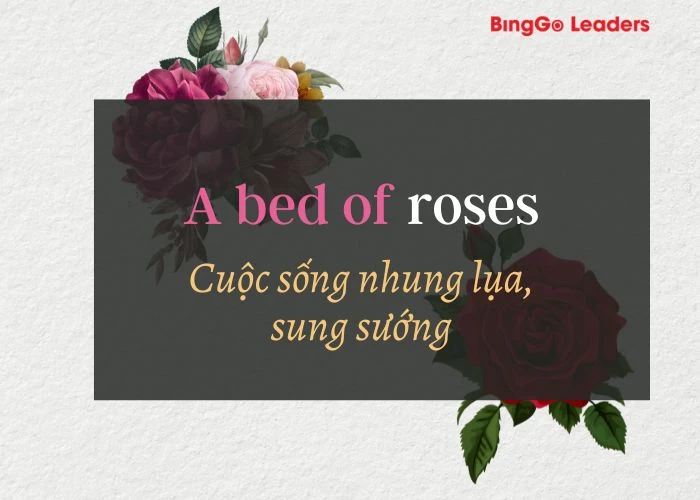 Thành ngữ tiếng Anh liên quan đến hoa hồng