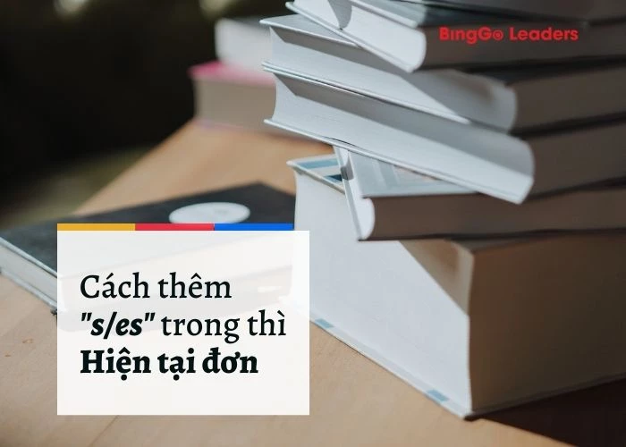Hướng dẫn khi nào thêm s/es khi chia động từ thì hiện tại đơn