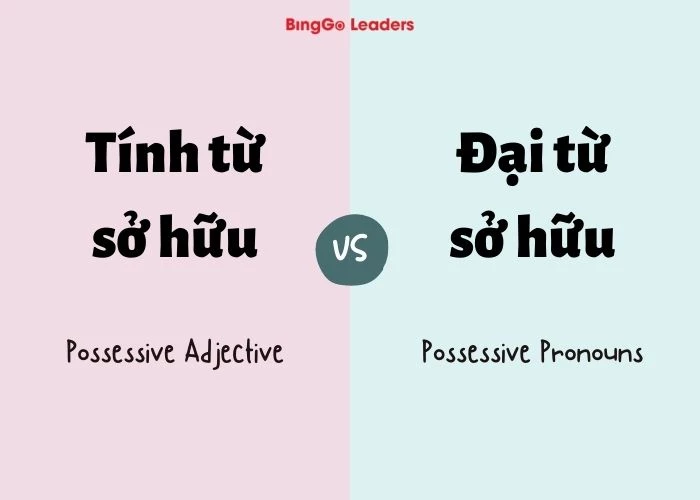 Tổng quan kiến thức về tính từ sở hữu và đại từ sở hữu