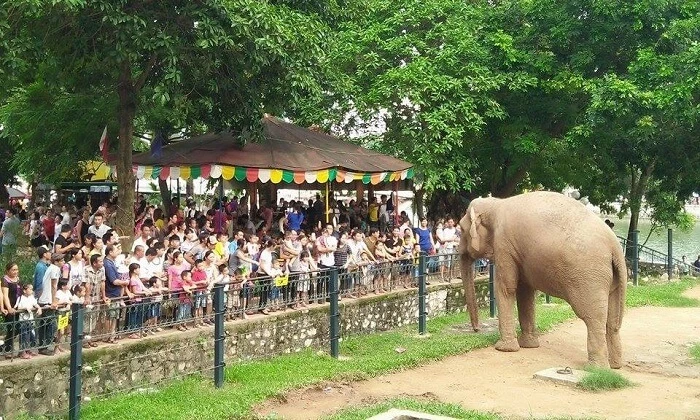 Vườn thú Thủ Lệ từ lâu đã là địa điểm tham quan, vui chơi yêu thích của nhiều gia đình. (Nguồn ảnh: Internet)