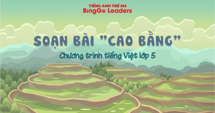 Cùng BingGo Leaders soạn bài tập đọc 