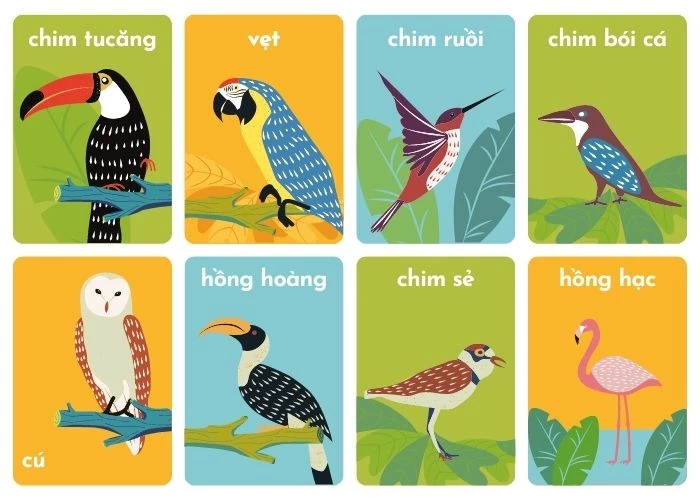 Chim Cú và một số loại chim cùng giống như Tu Căng, Vẹt…