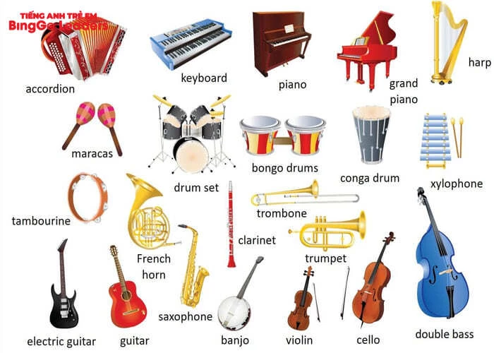Một số từ vựng tiếng Anh phổ biến về nhạc cụ