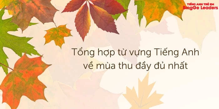 Từ vựng tiếng Anh về mùa thu