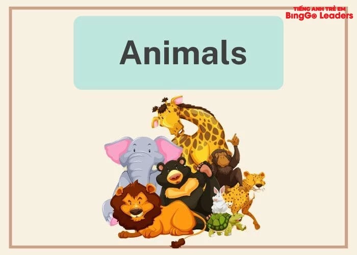 Từ vựng tiếng Anh lớp 1 về động vật