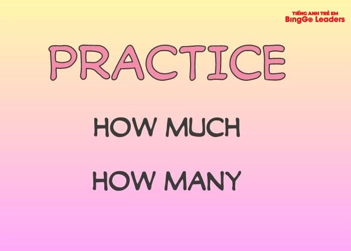 Thực hành luyện tập cấu trúc How much và How many