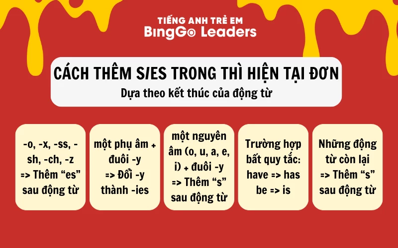 Ví dụ về các động từ thêm s/es