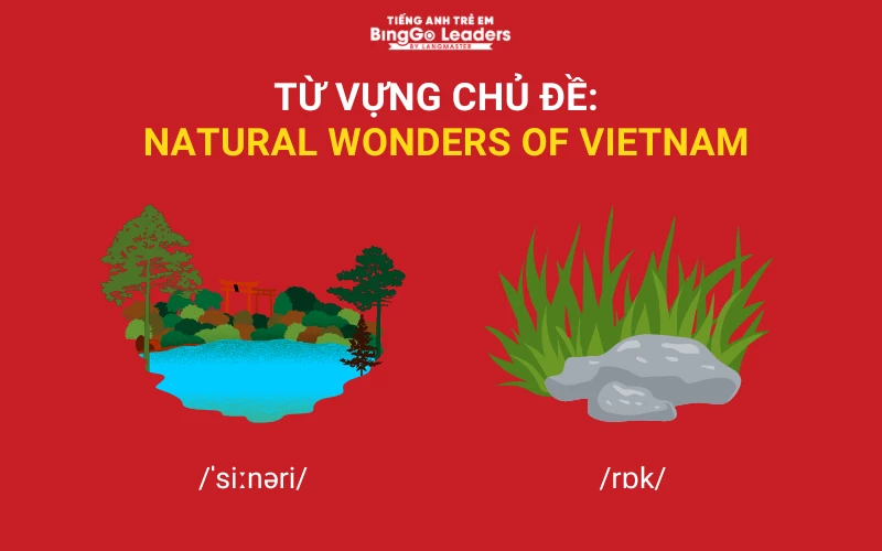Từ vựng Natural Wonders of Vietnam