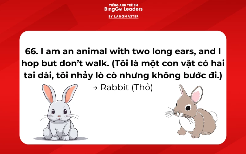 Câu đố tiếng Anh về chú thỏ