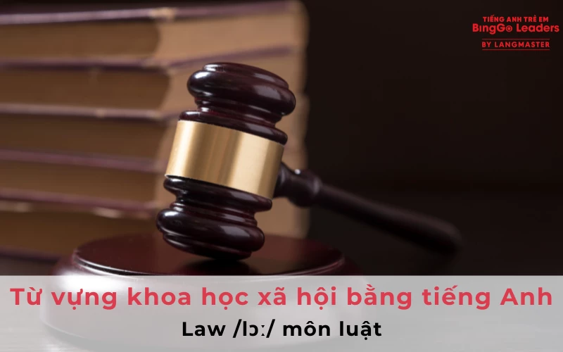 Từ vựng về các môn khoa học xã hội bằng tiếng Anh - Hình 2