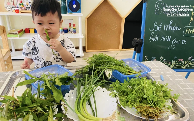 Trường Mầm non Blue Sky Preschool