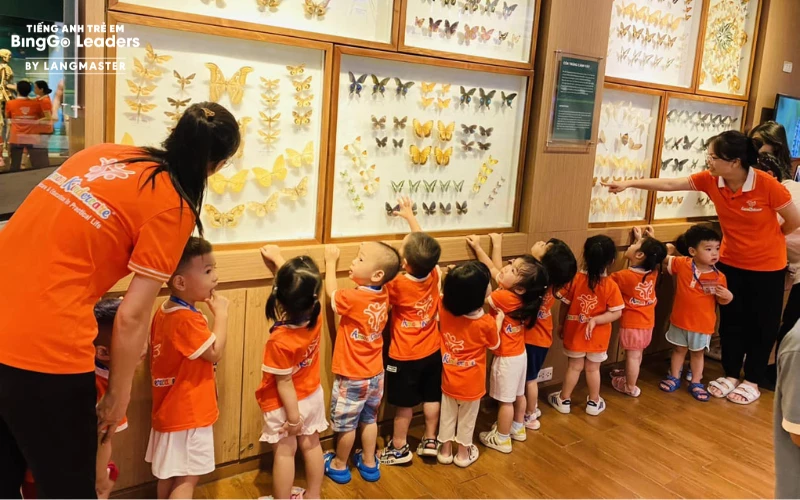 Trường Mầm non Ngoại Giao Đoàn Amon Montessori