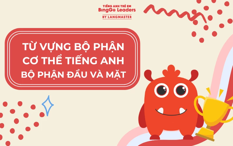 Tìm hiểu từ vựng bộ phận cơ thể tiếng Anh ở vùng đầu và mặt