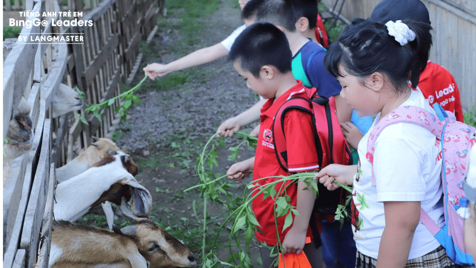 NGOẠI KHÓA THÁNG 8: LITTLE FARMERS