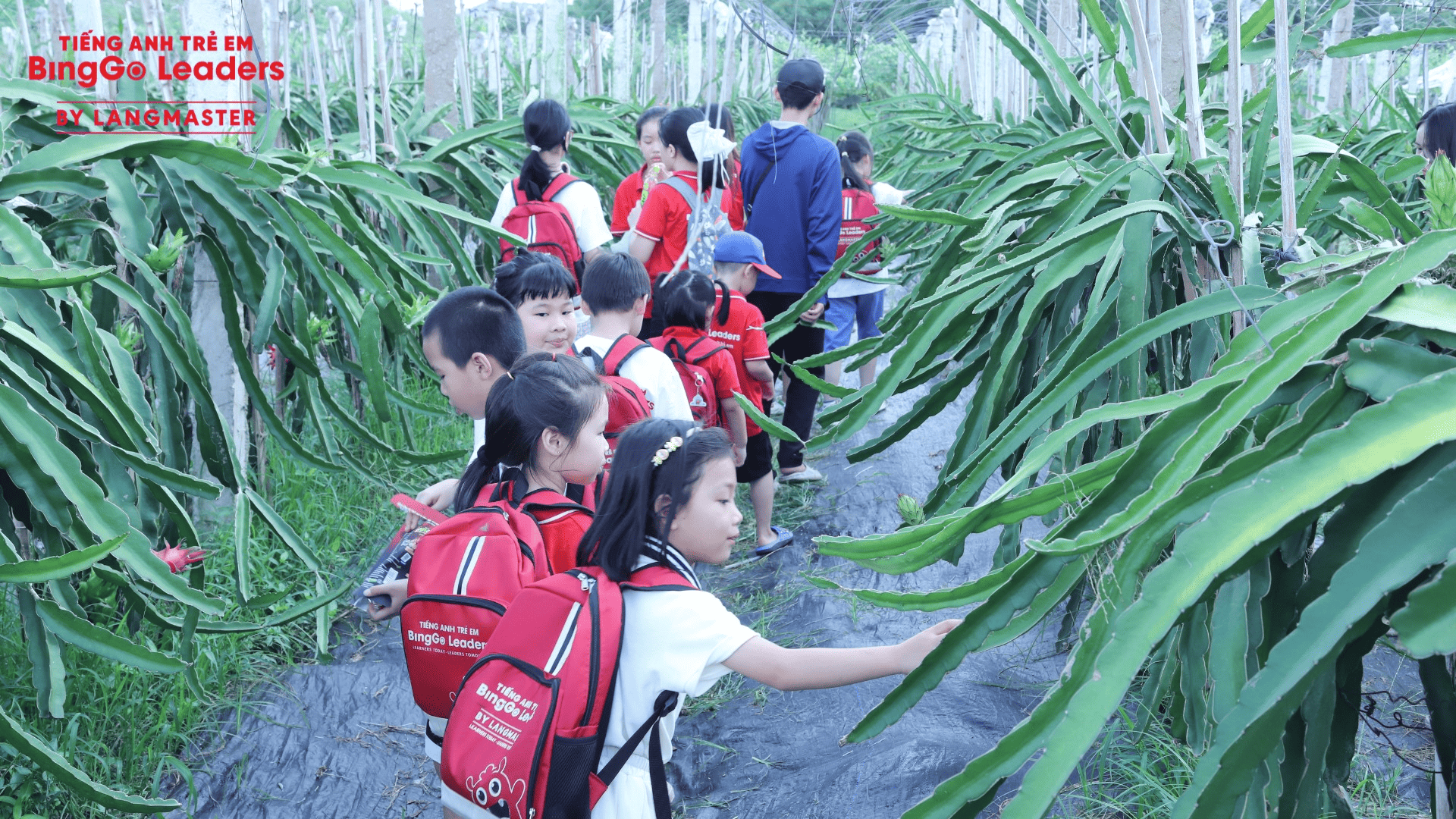 NGOẠI KHÓA THÁNG 8: LITTLE FARMERS