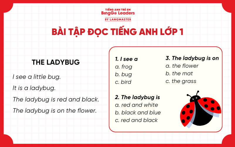 Bài tập đọc hiểu tiếng Anh lớp 1 The lady bug