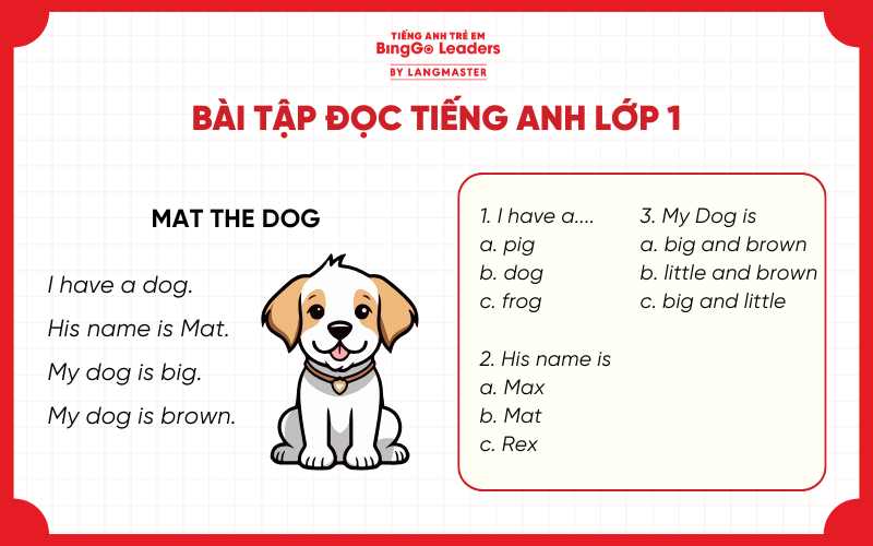 Bài tập đọc hiểu tiếng Anh