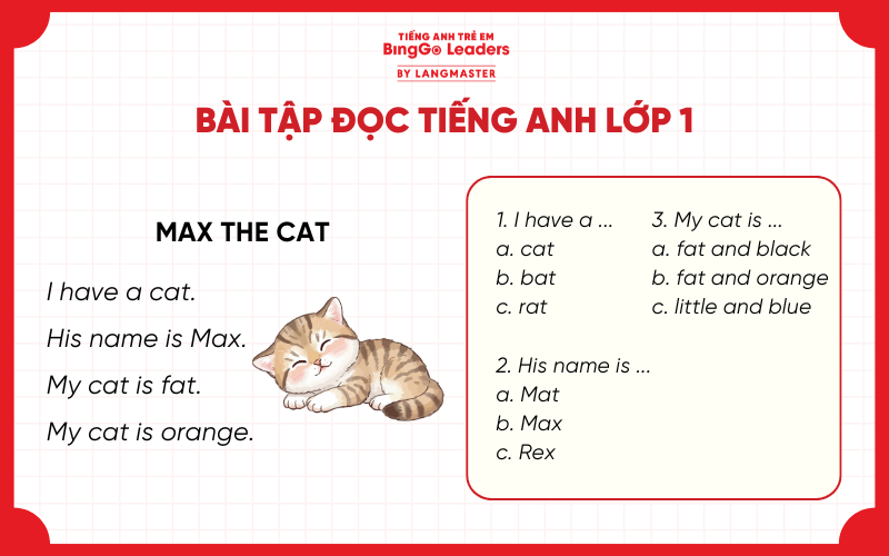 Bài tập đọc hiểu tiếng Anh Max the cat