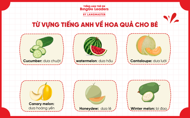 Bé học từ vựng về các loài quả họ dưa trong tiếng Anh