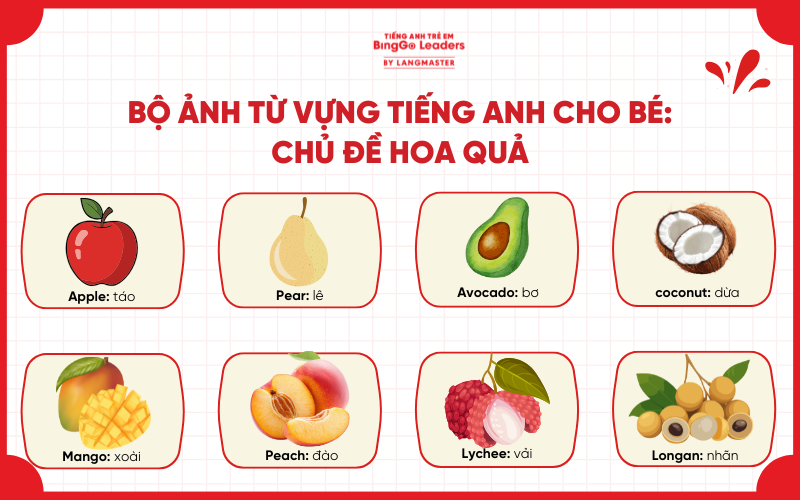 Bộ ảnh từ vựng tiếng Anh cho bé chủ đề hoa quả