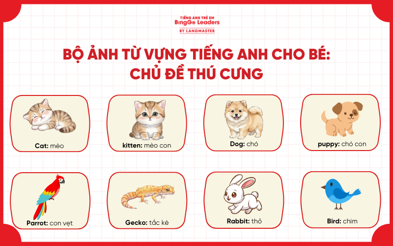 Bé học tiếng Anh ua con vật: thú cưng