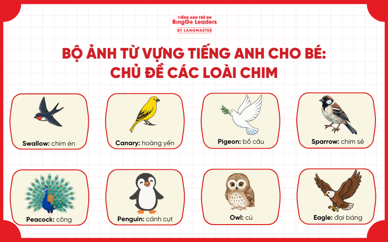 Bé học tiếng Anh qua con vật: chủ đề loài chim