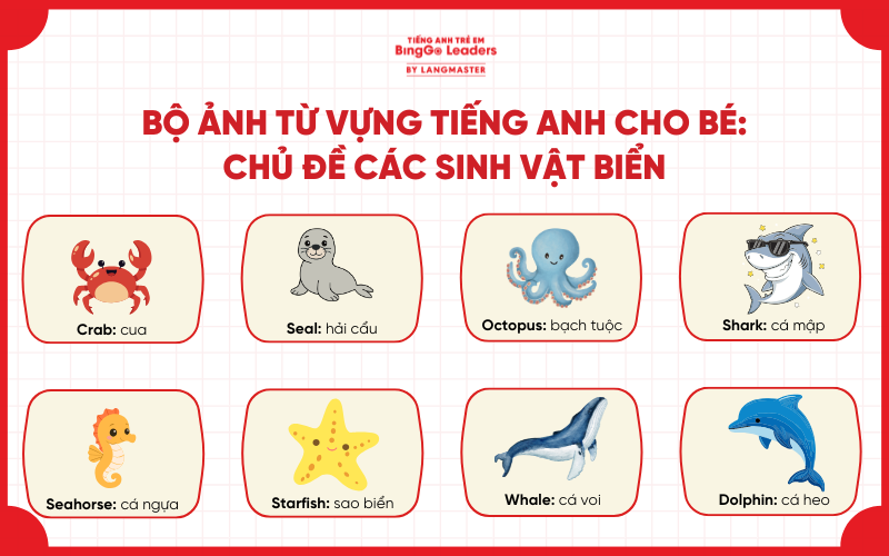 Bé học tiếng Anh qua con vật: chủ đề sinh vật biển