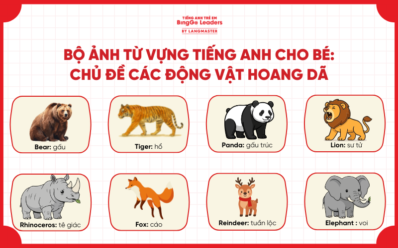 Bé học tiếng Anh qua con vật: chủ đề động vật hoang dã