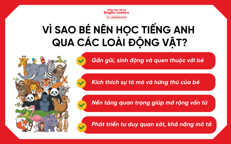Vì sao nên cho bé học từ vựng các loài động vật trong tiếng Anh